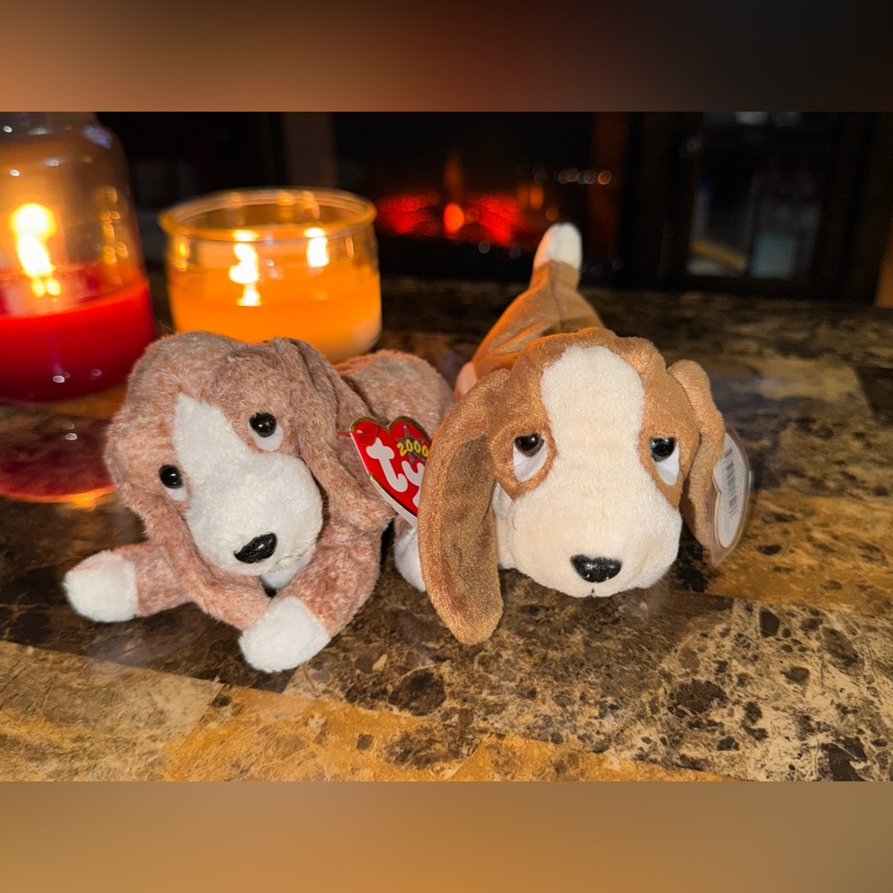 🐾 Ty Beanie Baby Hound Dog Pair – Tracker & Sniffer w/ Tags